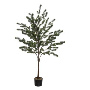 PLANTA DECOR