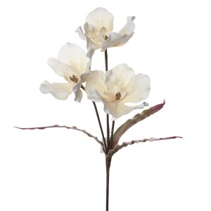 FLOR DECOR